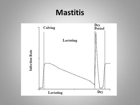 Mastitis.