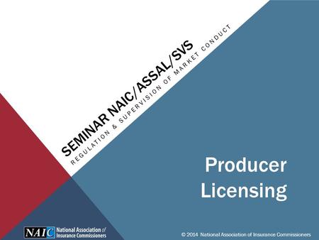 SEMINAR NAIC/ASSAL/SVS REGULATION & SUPERVISION OF MARKET CONDUCT © 2014 National Association of Insurance Commissioners Producer Licensing.