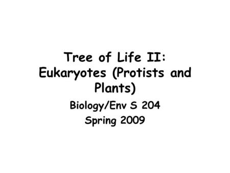 Tree of Life II: Eukaryotes (Protists and Plants) Biology/Env S 204 Spring 2009.