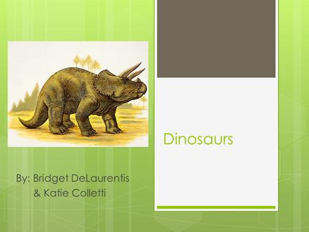 Dinosaurs By: Bridget DeLaurentis & Katie Colletti.