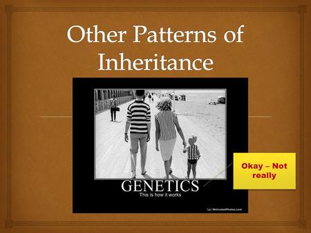 Okay – Not really. Other Patterns of Heredity  Polygenic traits = several genes influence the trait.  Examples: Eye color, weight, height, hair color,