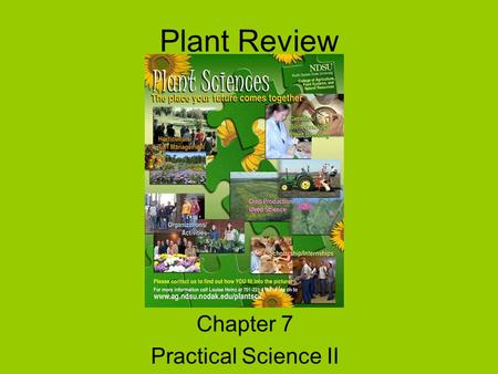 Plant Review Chapter 7 Practical Science II. Adapting to Life on Land Plants are multicellular eukaryotes with a cuticle and cells surrounded by walls.