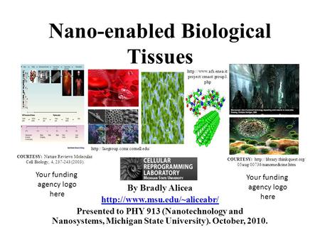 Nano-enabled Biological Tissues By Bradly Alicea  Presented to PHY 913 (Nanotechnology and Nanosystems, Michigan State University).