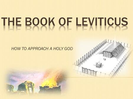 HOW TO APPROACH A HOLY GOD. 1) The historical setting  Israel is at the foot of Mt Sinai  Almost all legislation  All of Lev 1:1 - Num 10:10 took place.