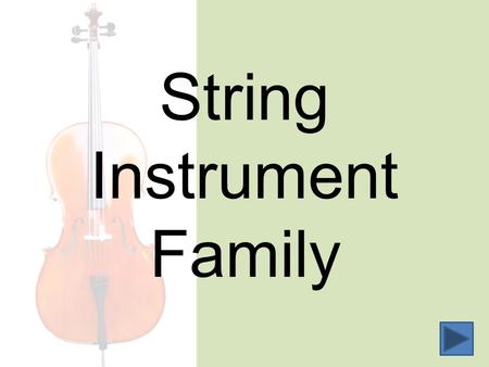 String Instrument Family