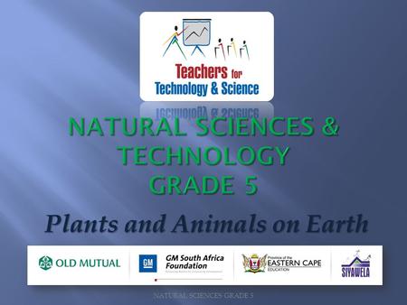 NATURAL SCIENCES & TECHNOLOGY GRADE 5