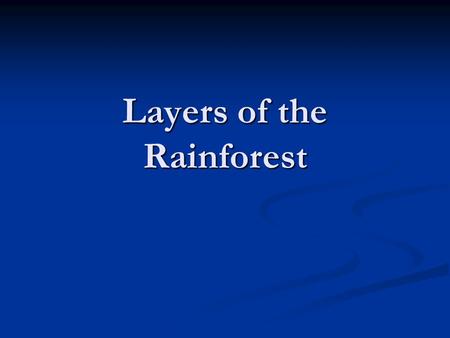 Layers of the Rainforest