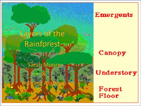 What makes a cake a cake? What parts of a cake are important to us? How is a tropical rainforest like a cake?