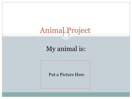 Animal Project My animal is: Put a Picture Here. Which animal group is your animal in, and what is it’s scientific name?