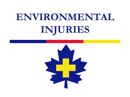 ENVIRONMENTAL INJURIES