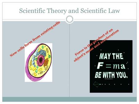 Scientific Theory and Scientific Law