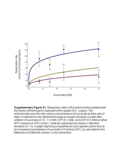 Respiration rate (nmol O 2 /min/mg protein) Succinate (mM) Supplementary Figure S1. Respiration rates of the mitochondria isolated from the florets of.