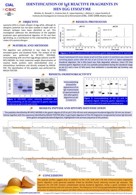 CIAL Miralles. B., Benedé. S., Jiménez-Saiz, R., López-Expósito, I., Molina, E., López-Fandiño, R. Instituto de Investigación en Ciencias de la Alimentación.