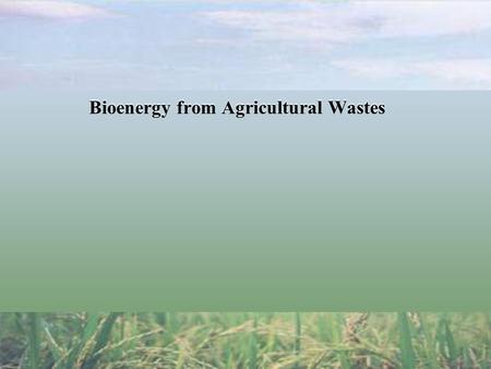 Bioenergy from Agricultural Wastes. World Energy Prospects 60%63-160% Increase in Population Energy demand Source: CIA's The World Factbook.