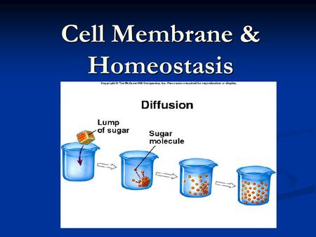 Cell Membrane & Homeostasis. DEFINITIONS: Diffusion: movement of molecules from region of high concentration to low concentration Diffusion: movement.