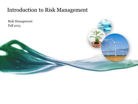 Introduction to Risk Management Risk Management Fall 2013.