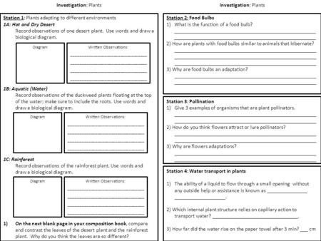 Investigation: Plants Station 2: Food Bulbs 1)What is the function of a food bulb?_____________________________________________________ 2) How are plants.