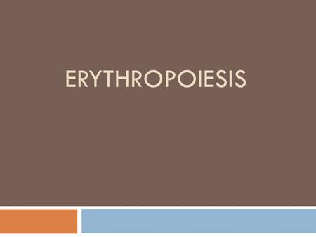 ERYTHROPOIESIS.