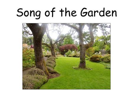 Song of the Garden. The Lord into His garden comes; The spices yield a rich perfume; The lilies grow and thrive, The lilies grow and thrive. Refreshing.