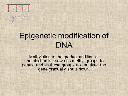 Epigenetic modification of DNA