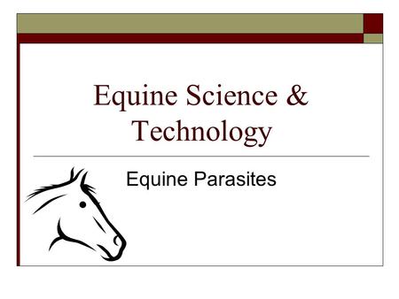 Equine Science & Technology