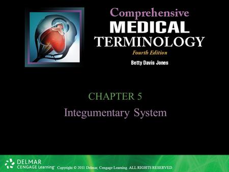 CHAPTER 5 Integumentary System.