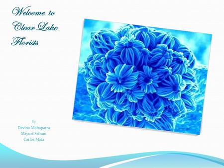 Welcome to Clear Lake Florists By Devina Mohapatra Mayuri Sriram Carlos Mata.