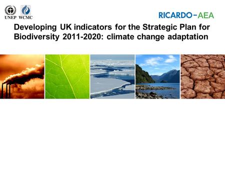 Air Quality Performance Alan Collings Developing UK indicators for the Strategic Plan for Biodiversity 2011-2020: climate change adaptation.