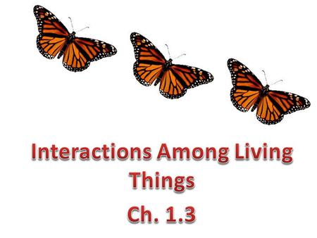 What Do We Know? 1. All living things need water to survive. 2. All living things grow, develop and reproduce. 3. Some living things breathe. 4. All living.