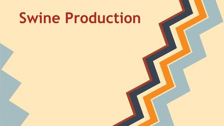 Swine Production. Swine Production in the US THE UNITED STATES is the world's third- largest pork producer after China and the EU. It is a major player.