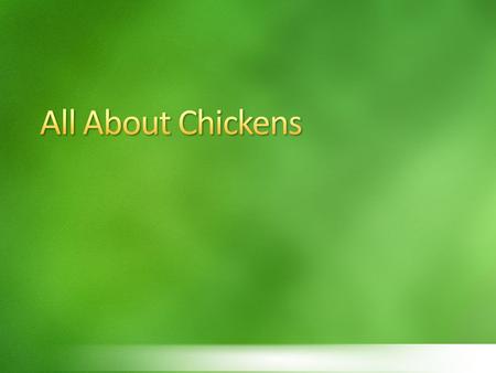 CCCChickens are domestic birds that cannot fly AAAAdult female chicken is called a hen AAAAdult male is called a rooster TTTThe young.