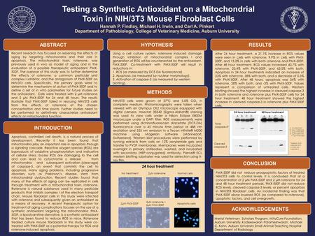 Apoptosis, controlled cell death, is a natural process of development. Recently it has been found that mitochondria play an important role in apoptosis.