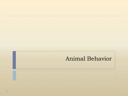 Animal Behavior.