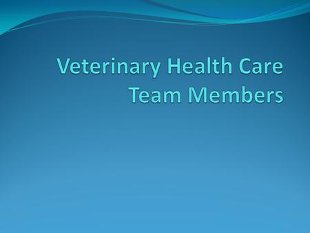 Introduction Veterinary practice can be a highly structured environment that provides an excellent career for all team members. Goal is to provide superb.