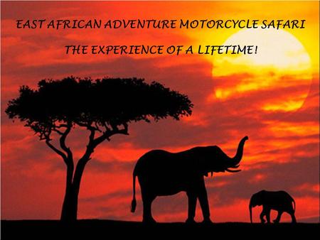 EAST AFRICAN ADVENTURE MOTORCYCLE SAFARI THE EXPERIENCE OF A LIFETIME!