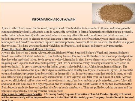 INFORMATION ABOUT AJWAIN