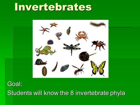 InvertebratesGoal: Students will know the 8 invertebrate phyla.