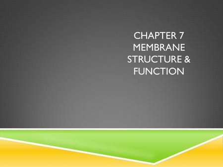 CHAPTER 7 MEMBRANE STRUCTURE & FUNCTION. I Can’s  Explain why membranes are selectively permeable  Describe the roles of phospholipids, proteins, &