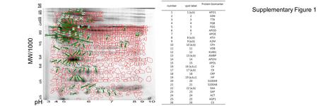 Supplementary Figure 1 pH MW/1000 numberspot label Protein biomarker 11 (a,b)APO1 22GSN 33TTR 44FGB 55FGG 66APOD 77APOE 88 (a,b)ATIII 99 (a,b)A2M 1010.