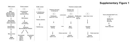 Classifier training FDR analysis Predictor discovery in training set 4 Training set SJIA (12 F, 12 Q) 1 DIGE raw gel images Matched samples SJIA (10 F,