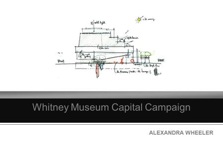 Whitney Museum Capital Campaign