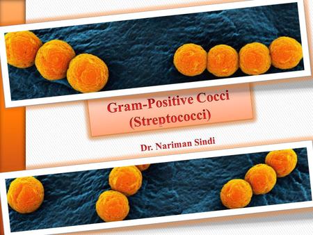 Gram-Positive Cocci (Streptococci)