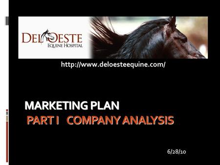 MARKETING PLAN PART I COMPANY ANALYSIS  6/28/10.