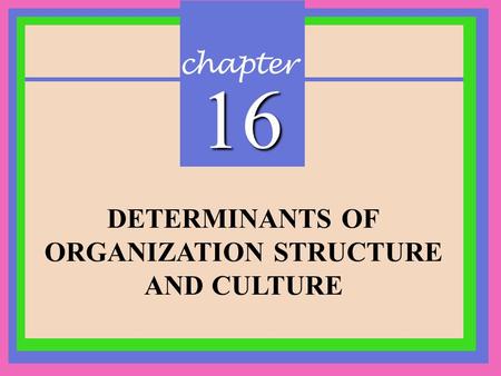 ORGANIZATION STRUCTURE