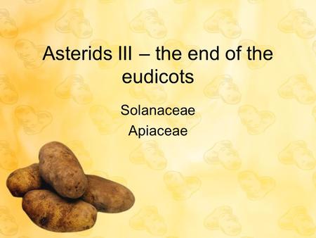 Asterids III – the end of the eudicots