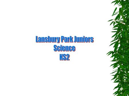 Trees are plants What will we learn in this lesson? 1. Trees are plants. 2. Facts about the most massive plant in the world.