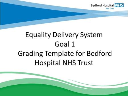 Equality Delivery System Goal 1 Grading Template for Bedford Hospital NHS Trust.