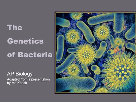 The Genetics of Bacteria