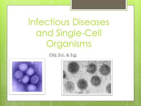 Infectious Diseases and Single-Cell Organisms