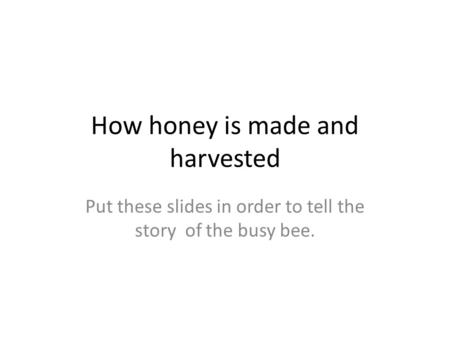 How honey is made and harvested Put these slides in order to tell the story of the busy bee.